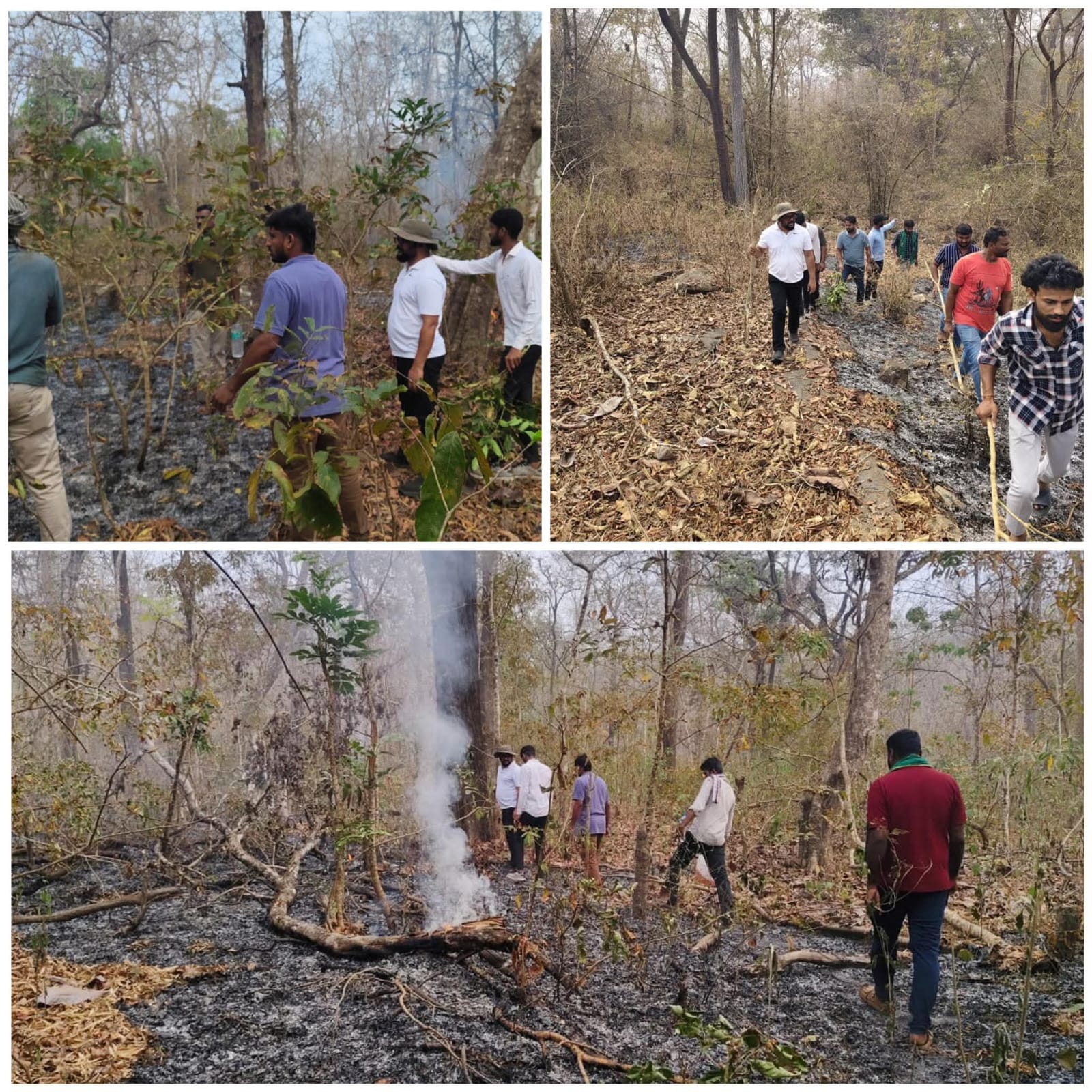 ಕೂಸ್ಗಲ್ ಅರಣ್ಯ ಪ್ರದೇಶದಲ್ಲಿ ಕಾಡ್ಗಿಚ್ಚು ಹಾರಿಸುವ ಕಾರ್ಯದಲ್ಲಿ ಶೃಂಗೇರಿ ಕ್ಷೇತ್ರ ರೈತ ಒಕ್ಕೂಟ ಶ್ರಮದಾನ