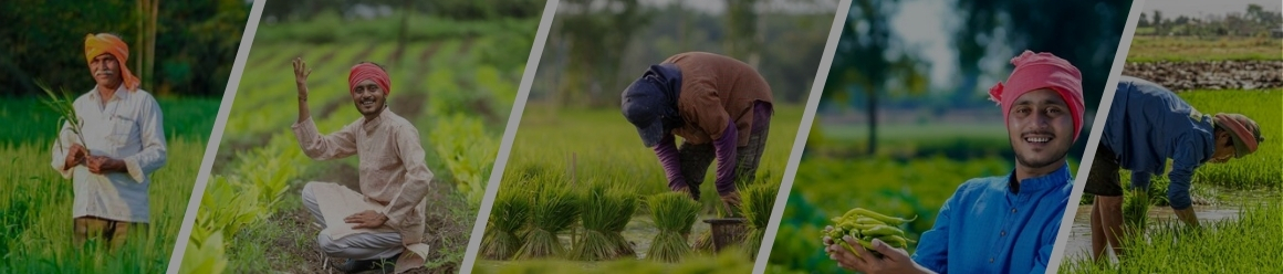 ವೀಡಿಯೋಗಳು